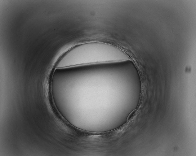 X0000103440054200809121111