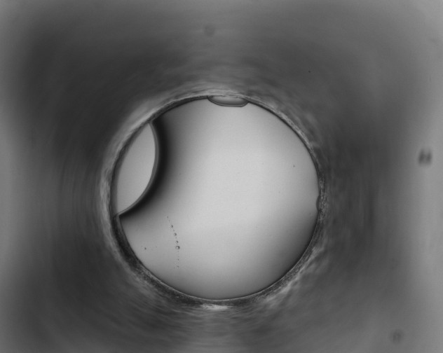 X0000103440055200809121111