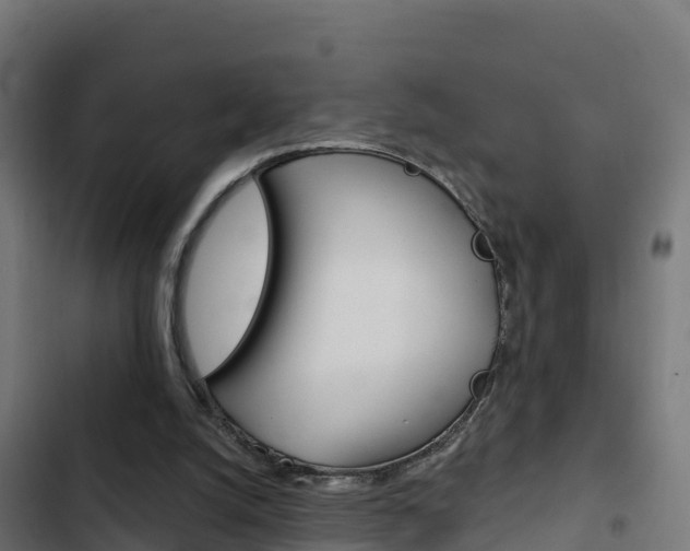 X0000103440056200809121111