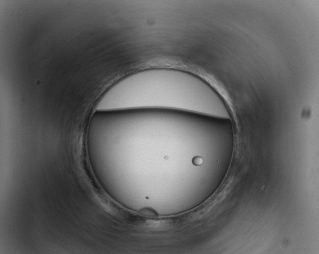 X0000103440057200809121111