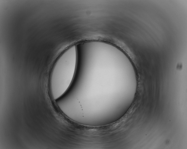 X0000103440058200809121111