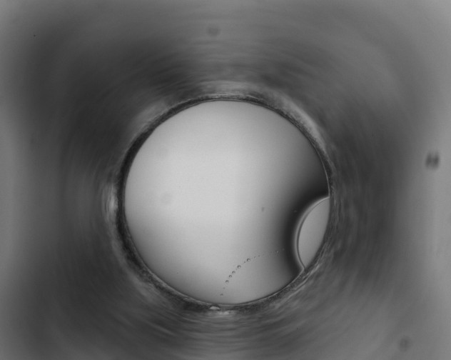 X0000103440059200809121111