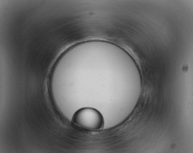 X0000103440060200809121111