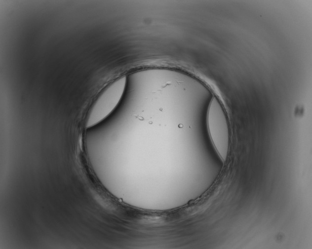 X0000103440061200809121111