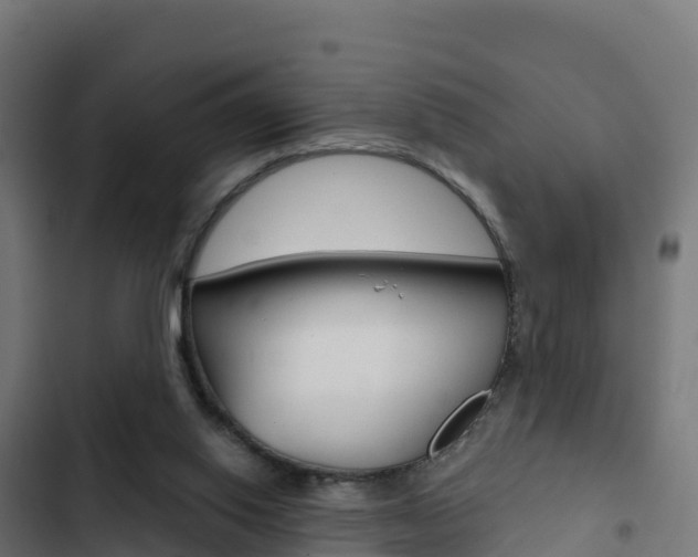 X0000103440062200809121111
