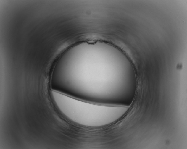X0000103440063200809121111