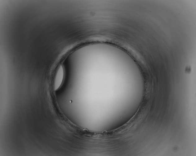 X0000103440064200809121111