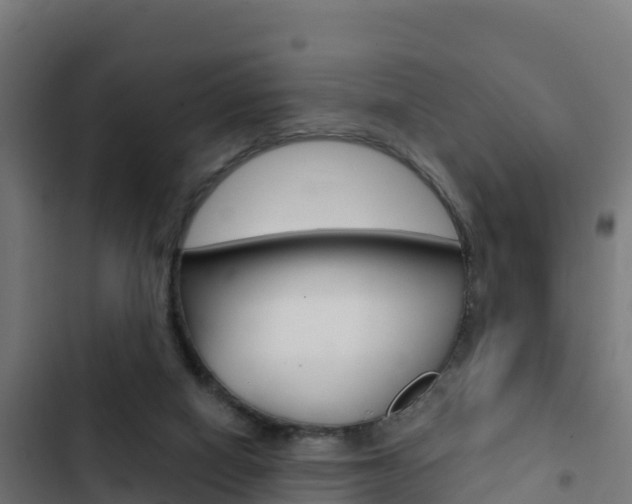 X0000103440066200809121111