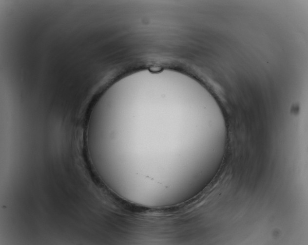 X0000103440067200809121111