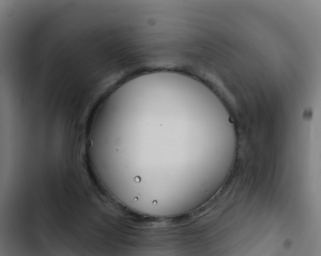 X0000103440068200809121111