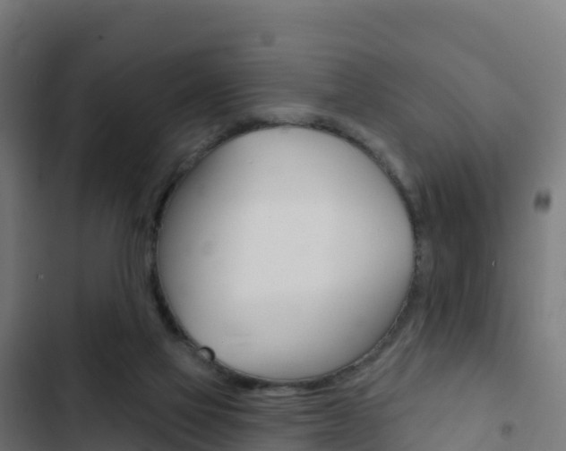 X0000103440069200809121111
