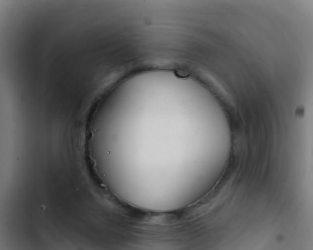 X0000103440072200809121111