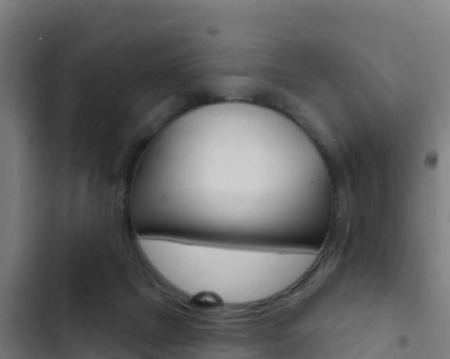 X0000103440073200809121111