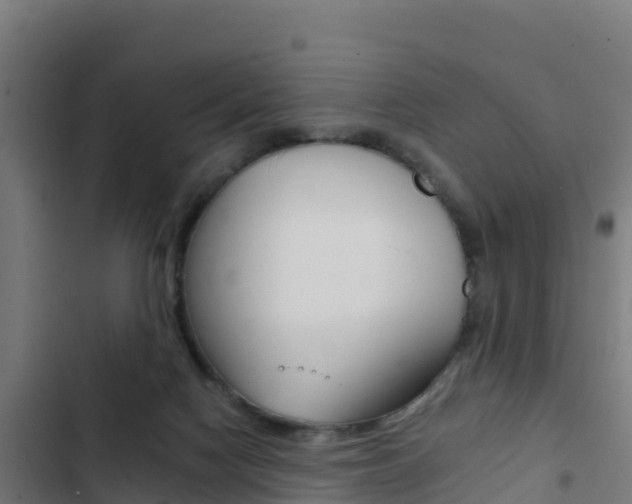 X0000103440074200809121112