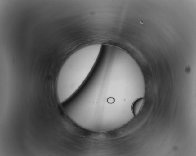 X0000103440075200809121112