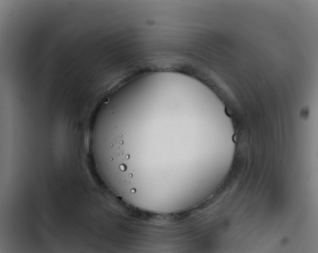 X0000103440076200809121112