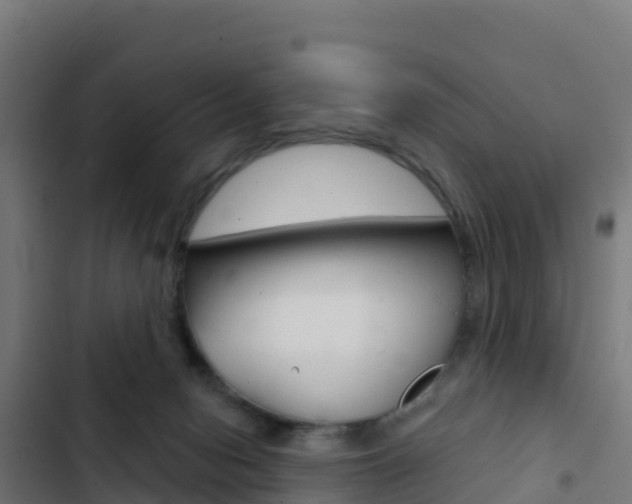 X0000103440078200809121112