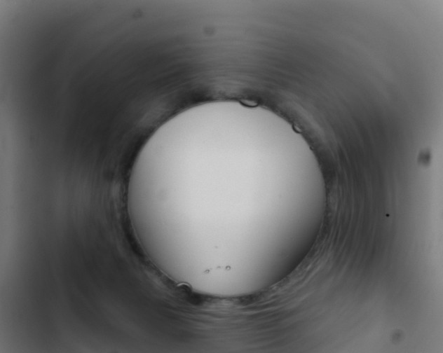 X0000103440079200809121112