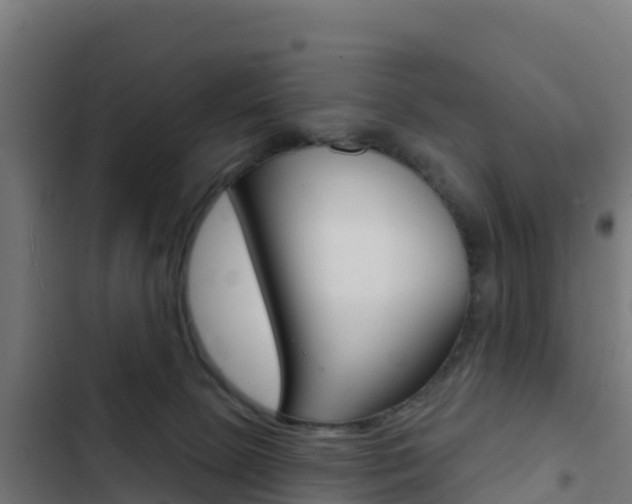 X0000103440081200809121112