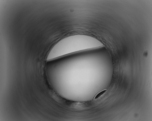 X0000103440082200809121112