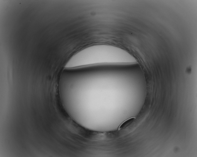 X0000103440083200809121112