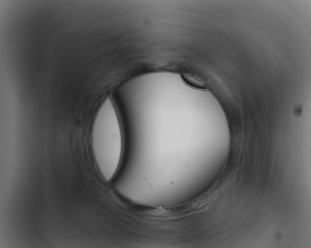 X0000103440085200809121112