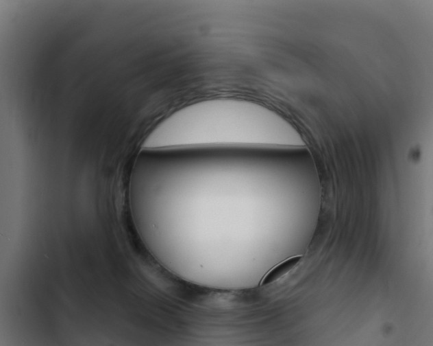 X0000103440086200809121112