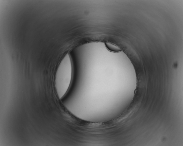 X0000103440089200809121112