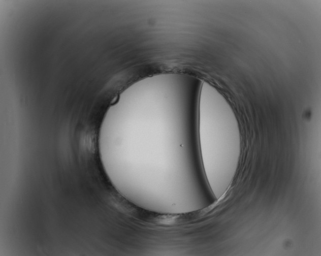 X0000103440090200809121112