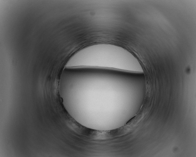 X0000103440093200809121112