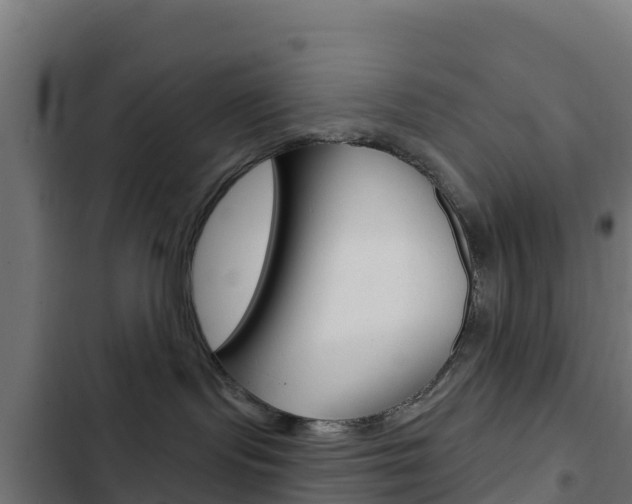 X0000103440095200809121112