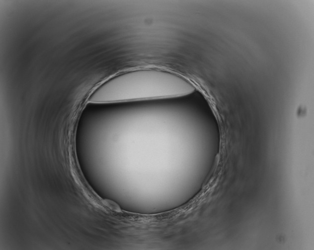 X0000103440097200809121111