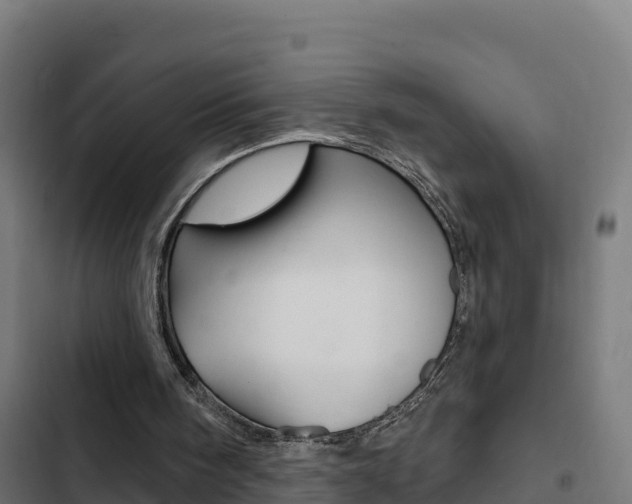 X0000103440098200809121111