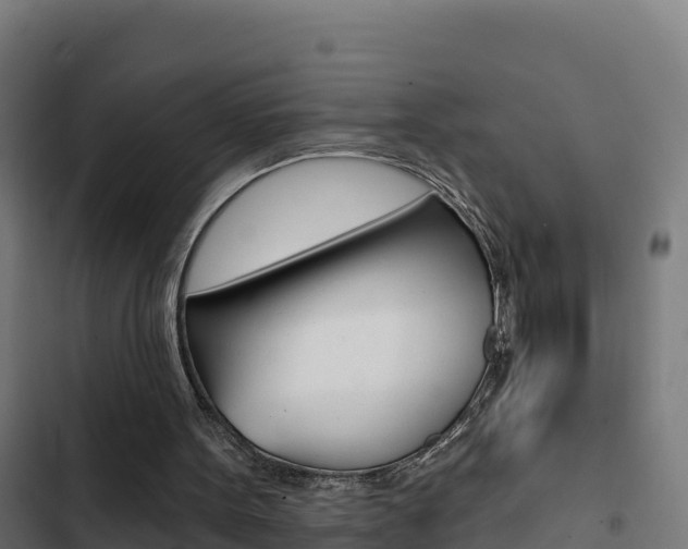 X0000103440099200809121111
