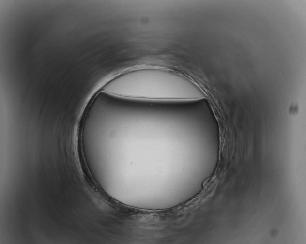 X0000103440100200809121111