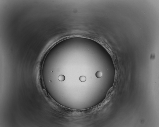 X0000103440101200809121111