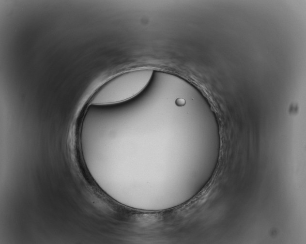 X0000103440102200809121111