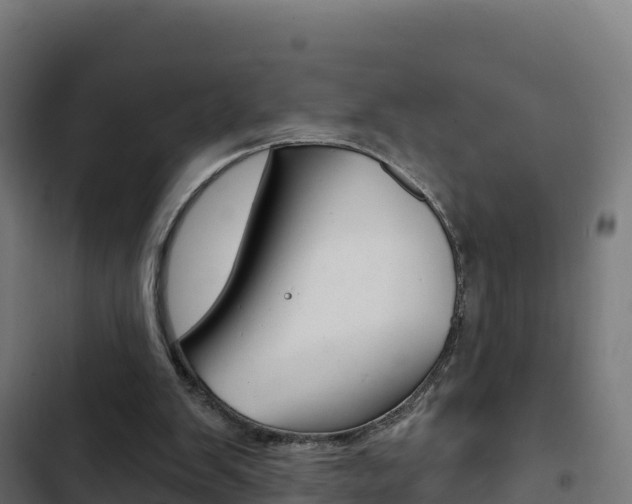 X0000103440103200809121111