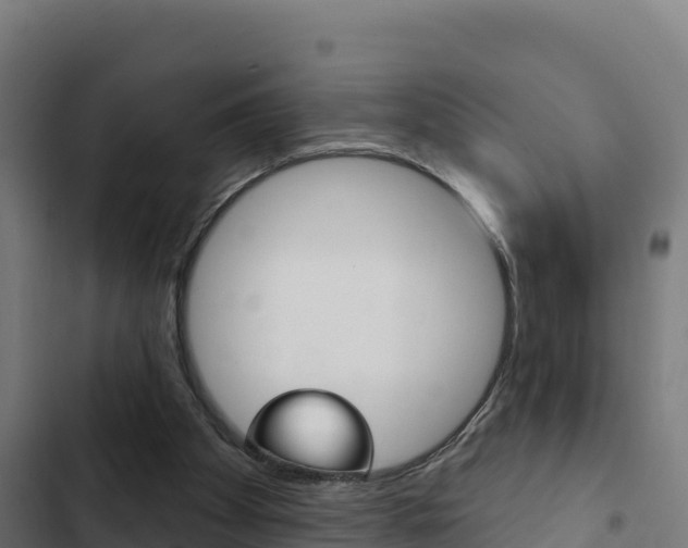 X0000103440105200809121111