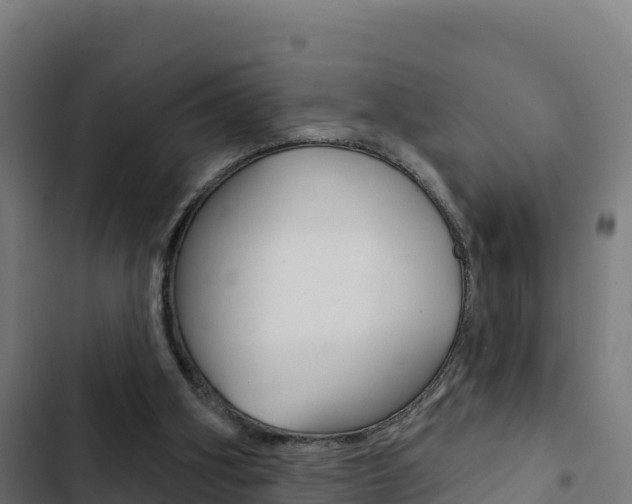 X0000103440106200809121111