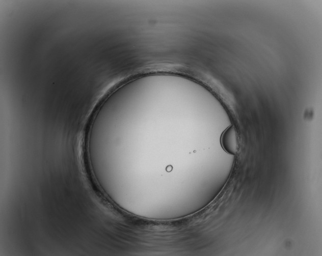 X0000103440107200809121111