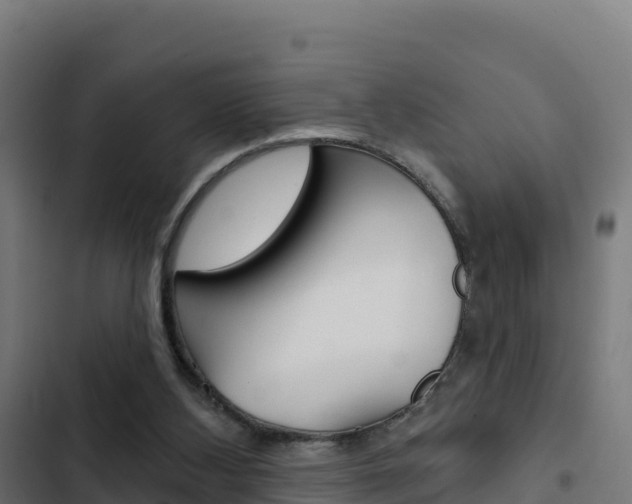 X0000103440108200809121111