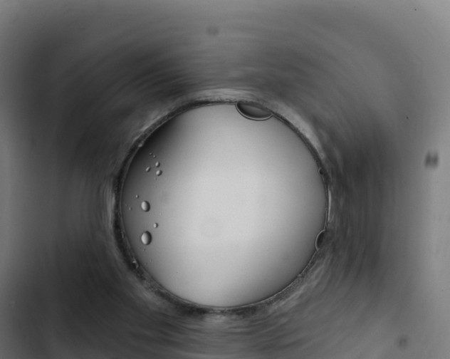 X0000103440109200809121111