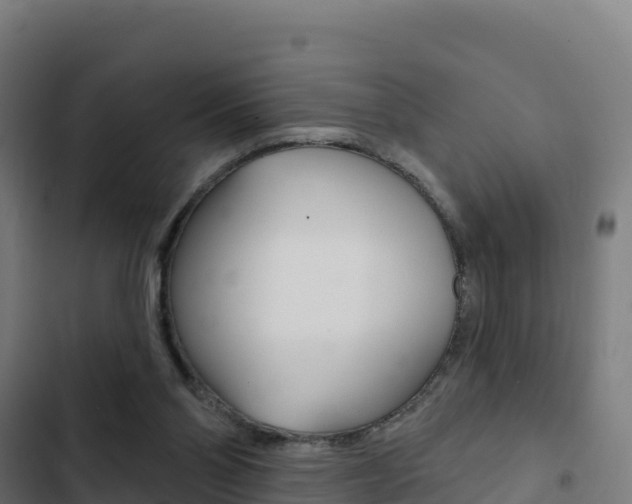X0000103440110200809121111