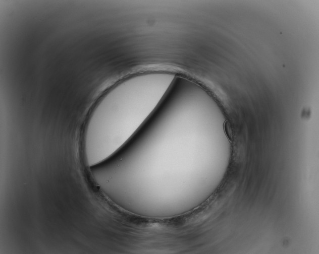X0000103440111200809121111