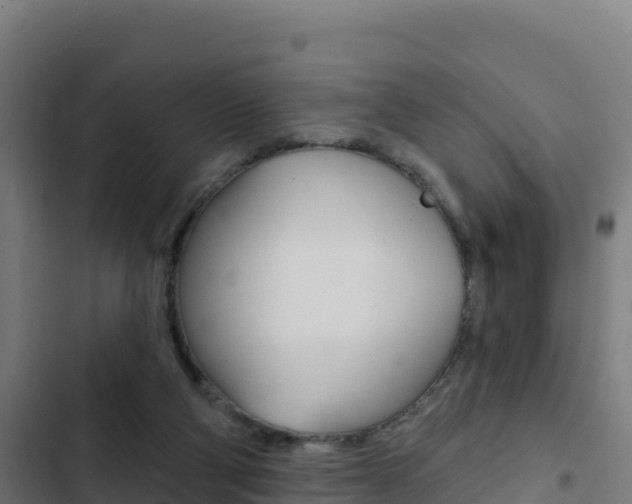 X0000103440114200809121111