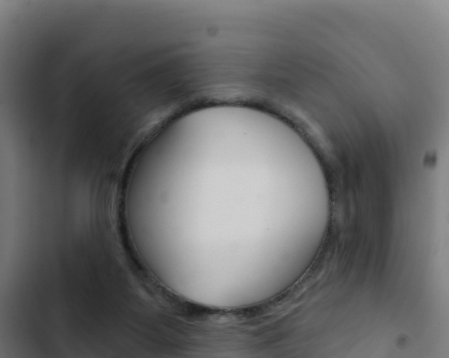 X0000103440115200809121111