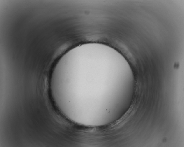 X0000103440116200809121111