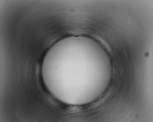 X0000103440117200809121111