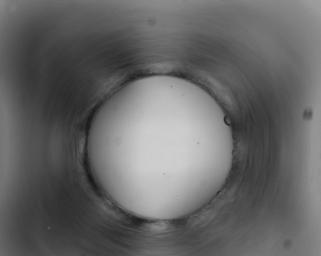 X0000103440118200809121111
